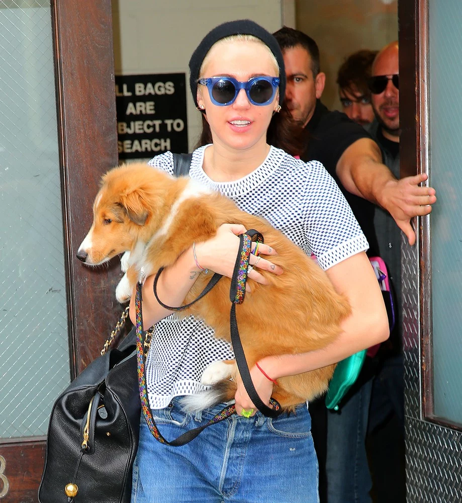 Miley Cyrus