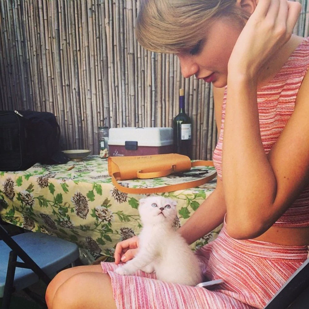 Taylor Swift