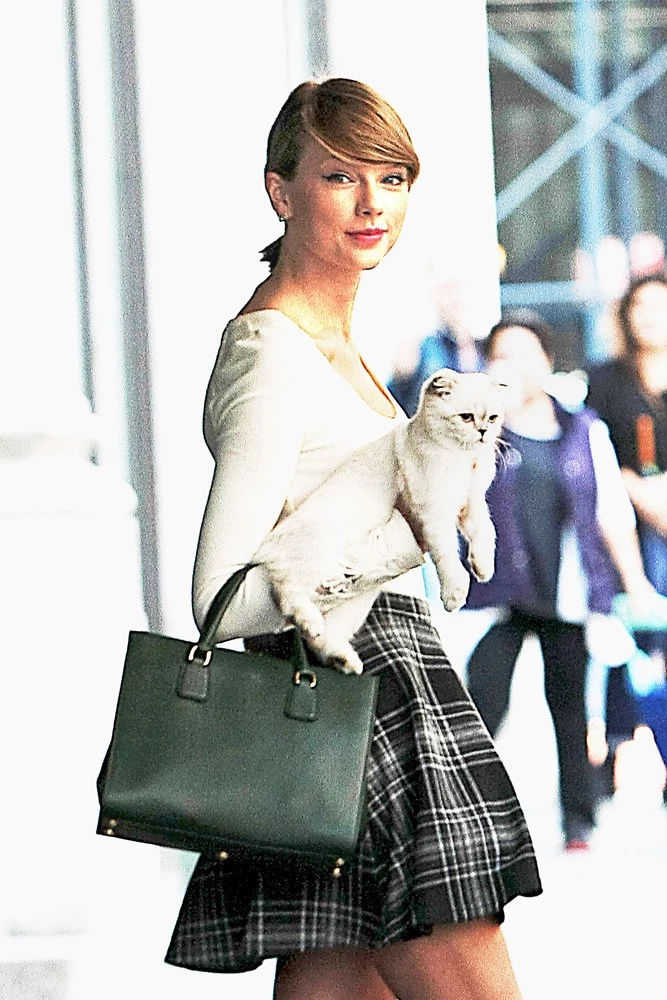 Taylor Swift