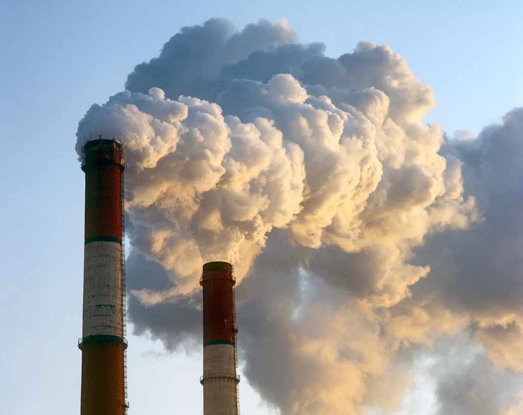 Jedną z głównych przyczyn gwałtownego ocieplania się klimatu są duże emisje dwutlenku węgla do atmosfery. Wynikają one z rozwoju przemysłowego i używania w tym celu przez człowieka paliw kopalnych, podczas spalania których wydzielają się właśnie ocieplające klimat gazy