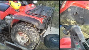 Quad GOPR-owców po starciu z niedźwiedziem