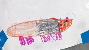 Poszukiwania świnki morskiej hitem internetu