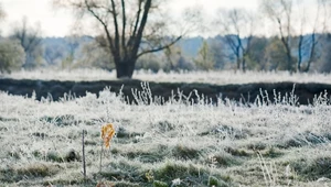 Wrzesień szybko przypomni o zbliżającej się jesieni. Możliwe przymrozki?