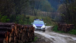 Policyjny radiowóz w rejonie lasu w Olszanicy