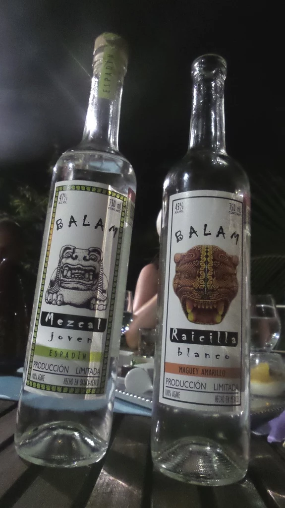 Mezcal i raicilla - agawowi bracia tequili