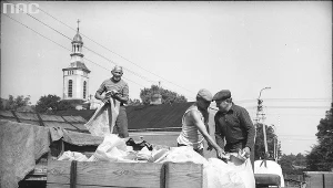 Przeładunek zboża, 1969 r.