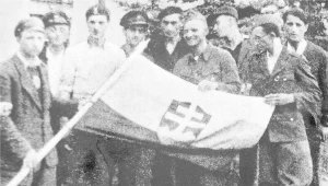 Słowacki pluton 535