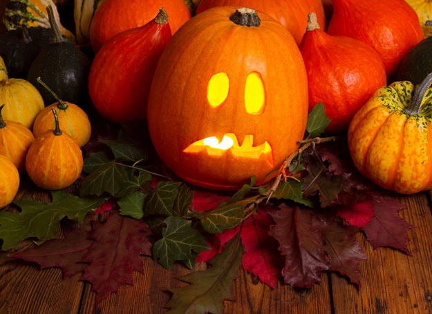 Tworzenie halloweenowej dyni może być świetna zabawą!