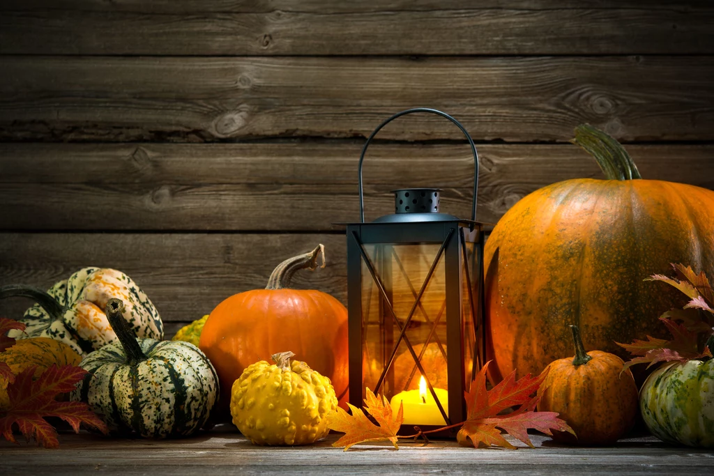 Głównym symbolem Halloween jest dynia i lampiony z niej zrobione