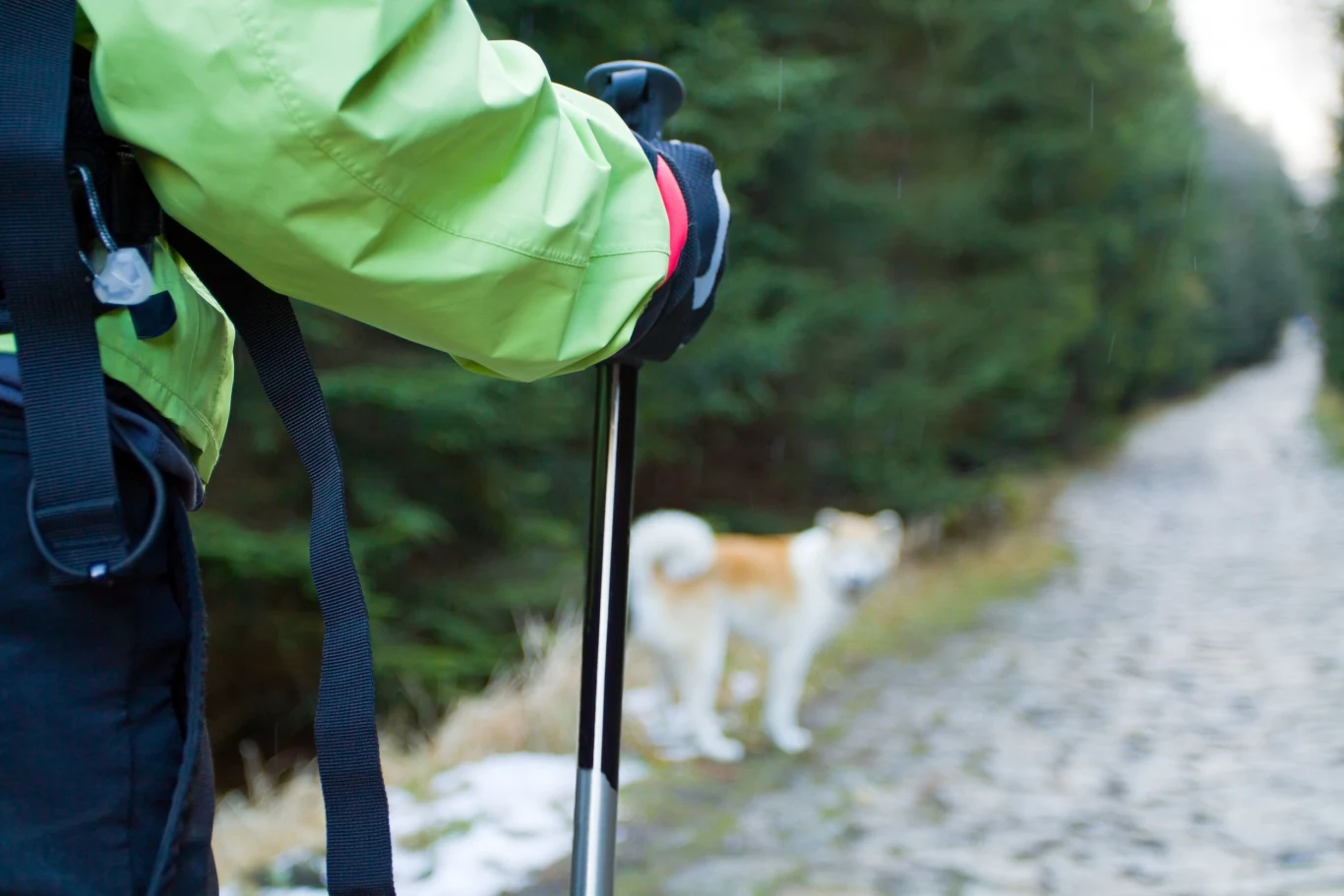 Najważniejszą rzeczą jest dobór odpowiednich kijków