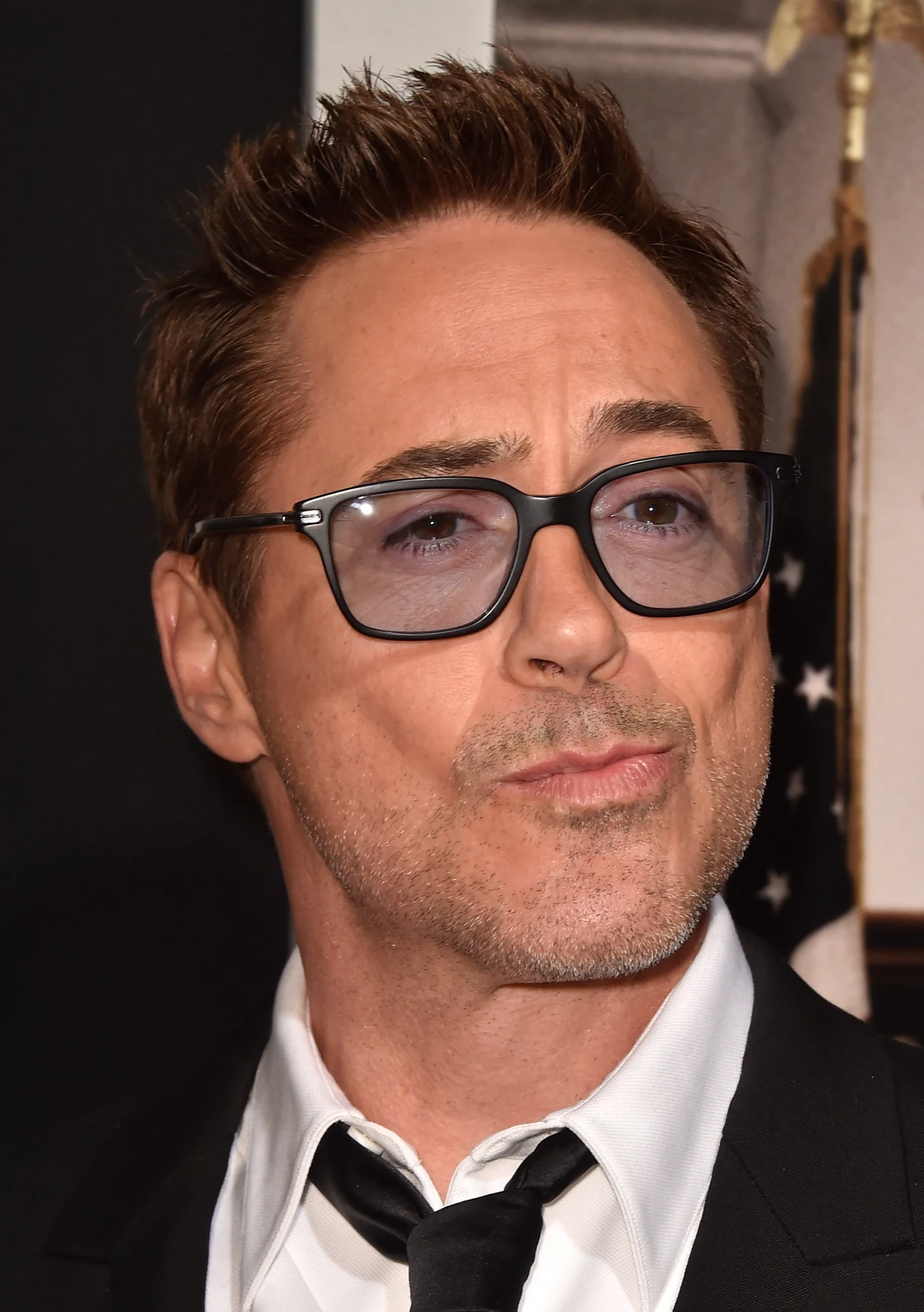 Robert Downey Jr Robert Downey Jr