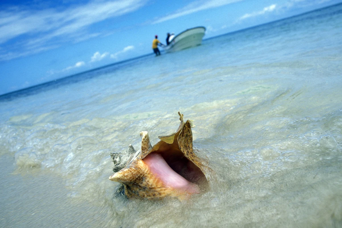 Biały piasek i kryształowa woda to wizytówki Samany Biały piasek i kryształowa woda to wizytówki Samany