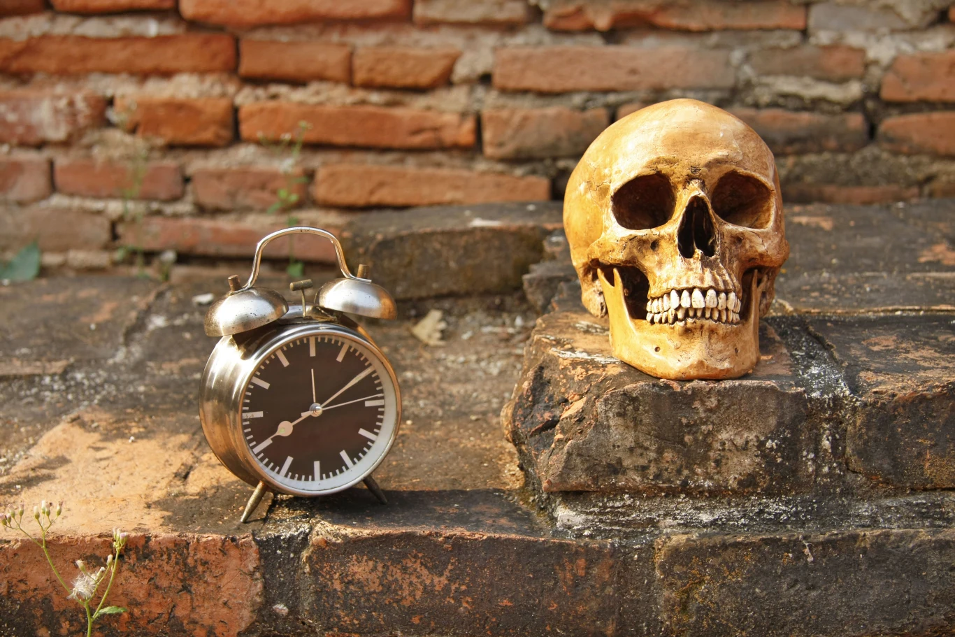 Dlaczego śmierć zatrzymuje zegary? Dlaczego śmierć zatrzymuje zegary?