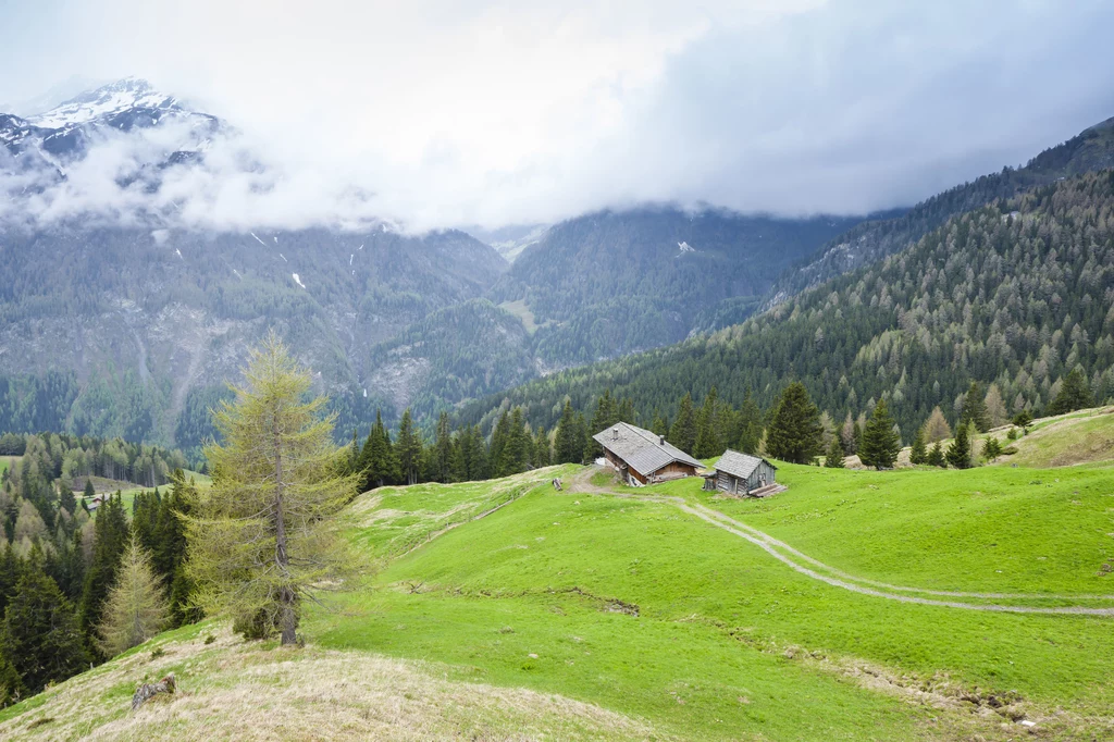 Austria to nie tylko narciarstwo