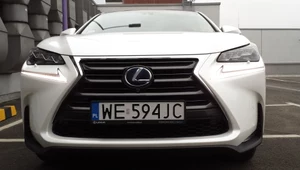 Lexus NX. Czy taki samochód może mieć wady?