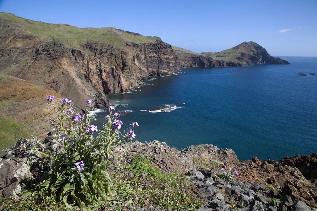 Przylądek Ponta de Sao Lourenco, Maderze, w Portugalii 