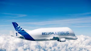 Beluga.    Fot. Airbus