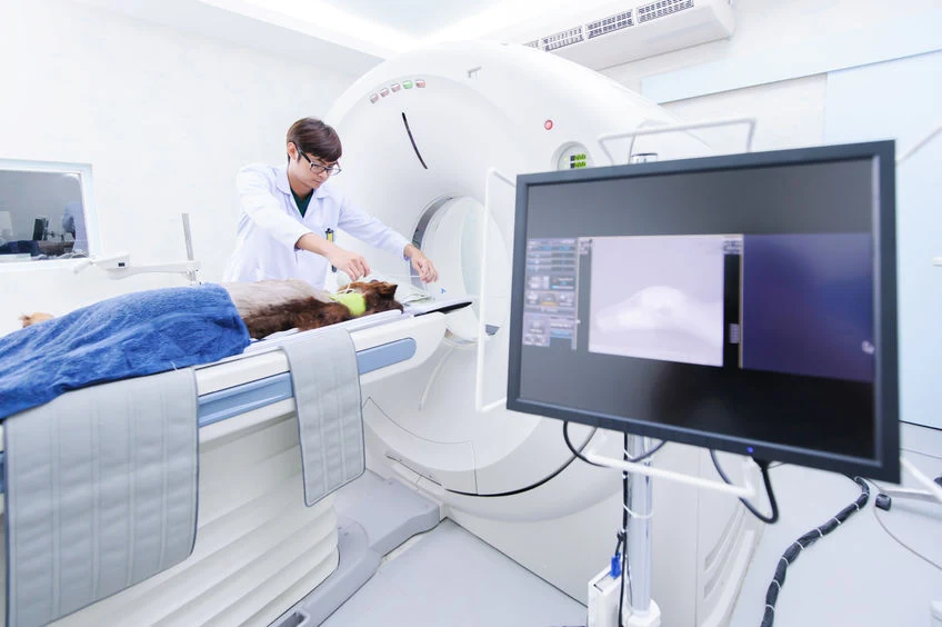 W Polsce powstanie pierwszy aparat do MRI generujący pole magnetyczne rzędu 7 Tesli