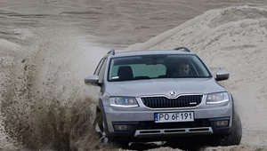 Skoda Octavia Scout tylko udaje terenówkę? 