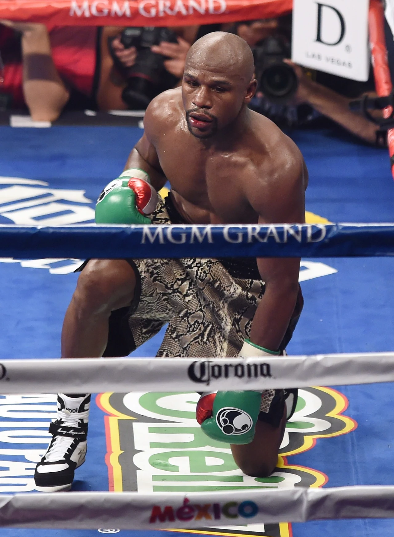 Floyd Mayweather Jr Floyd Mayweather Jr