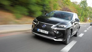 Lexus NX 300h AWD F Sport - test