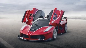 Ferrari FXX K. Można je kupić, ale nie wziąć do domu!