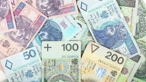 Radni podnieśli swoje diety o 300 proc.