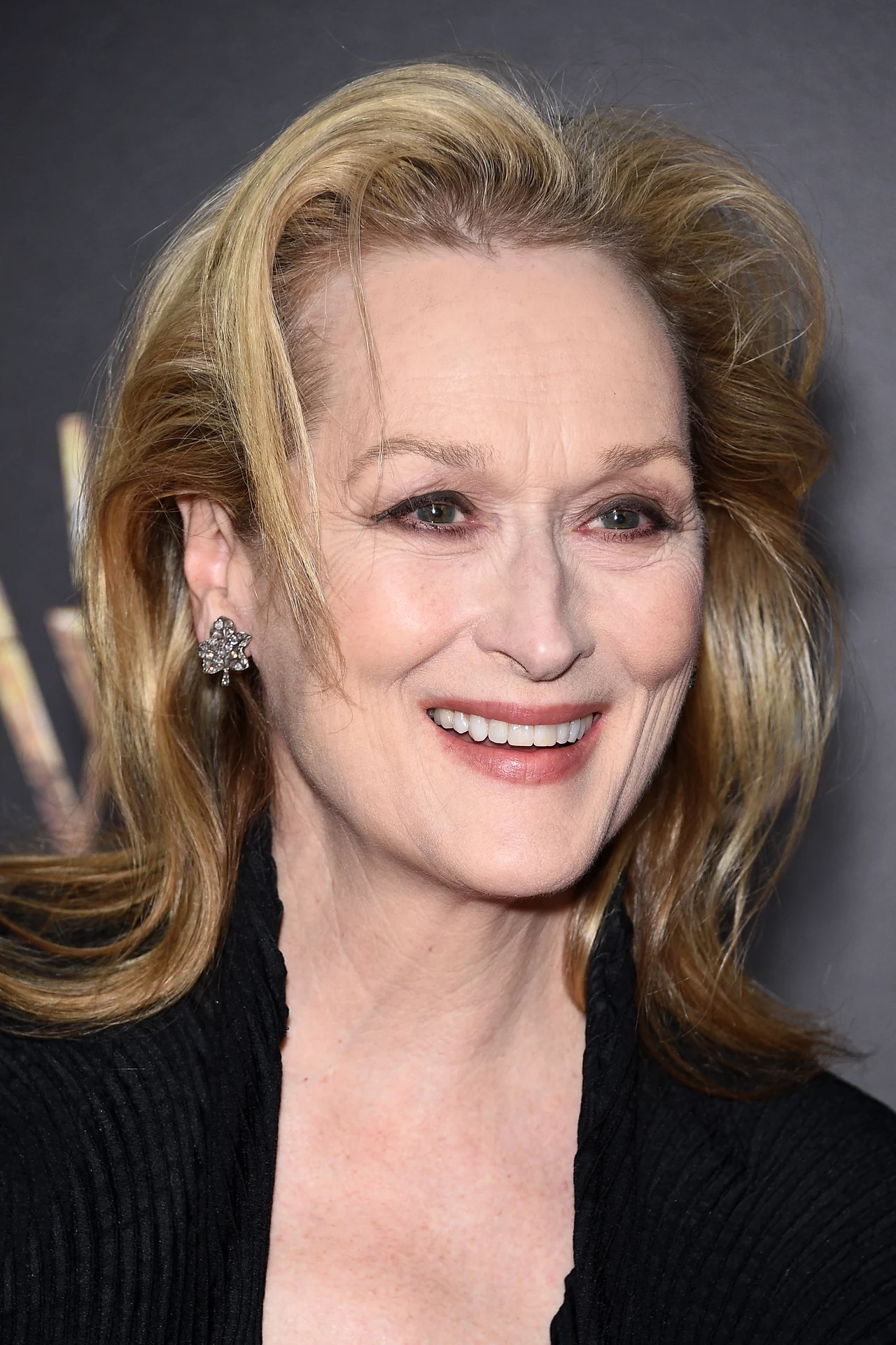 Meryl Streep Meryl Streep