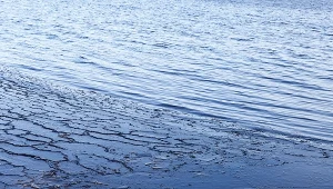 Podkarpackie: Utonął 13-letni chłopiec