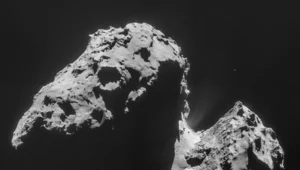 Rosetta: Woda na Ziemi nie pochodzi z komet?