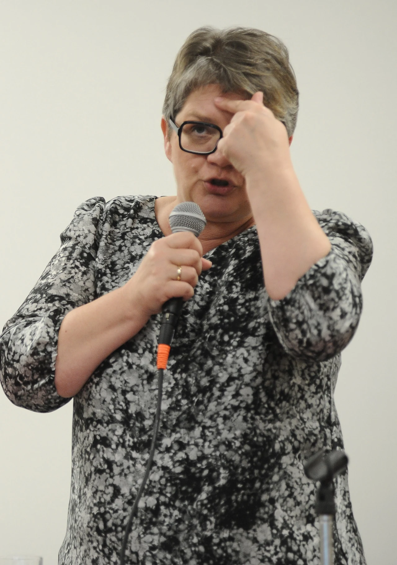 Dorota Zawadzka podczas wykładu, Studencki Centrum Kultury Dorota Zawadzka podczas wykładu, Studencki Centrum Kultury