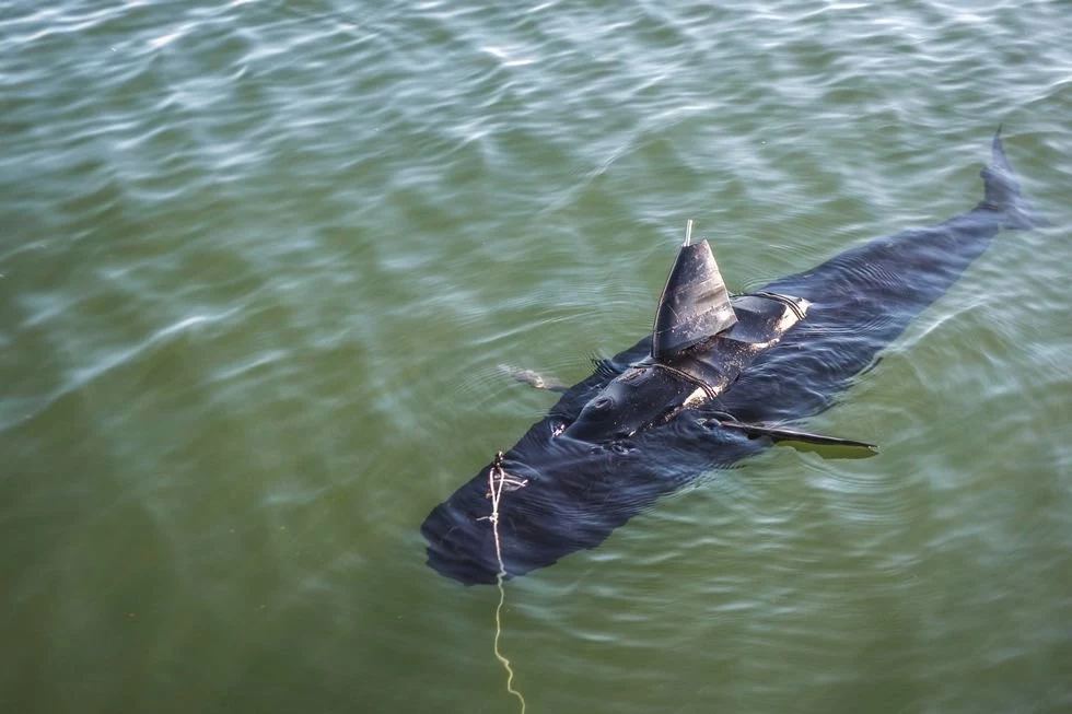 Maszyna o nazwie GhostSwimmer przypomina rekina. 