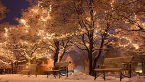 Prognoza pogody na Święta Bożego Narodzenia. Ekspert odpowiada, czy możemy liczyć na śnieg