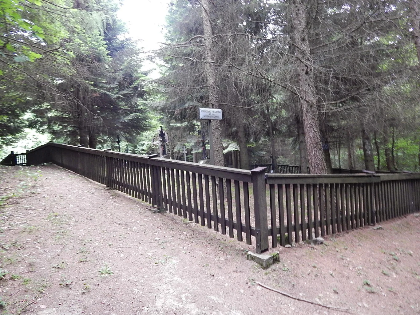 W czasie I wojny światowej największe walki były w naszym rejonie pod Gorlicami. Zdjęcia cmentarza wojennego Nr. 103 w Pagorzynie. Znajduje się on na szczycie góry, a drugi jest niżej o numerze 102. Ponieważ były to tereny kopalni ropy naftowej GWARECTWO od 1864 r., więc zlikwidowano ogromnej ilości krzyże po obu stronach góry, gdyż przeszkadzały, a zostawiono dwa cmentarze. W czasie walk życie straciło wiele tysięcy żołnierzy. 