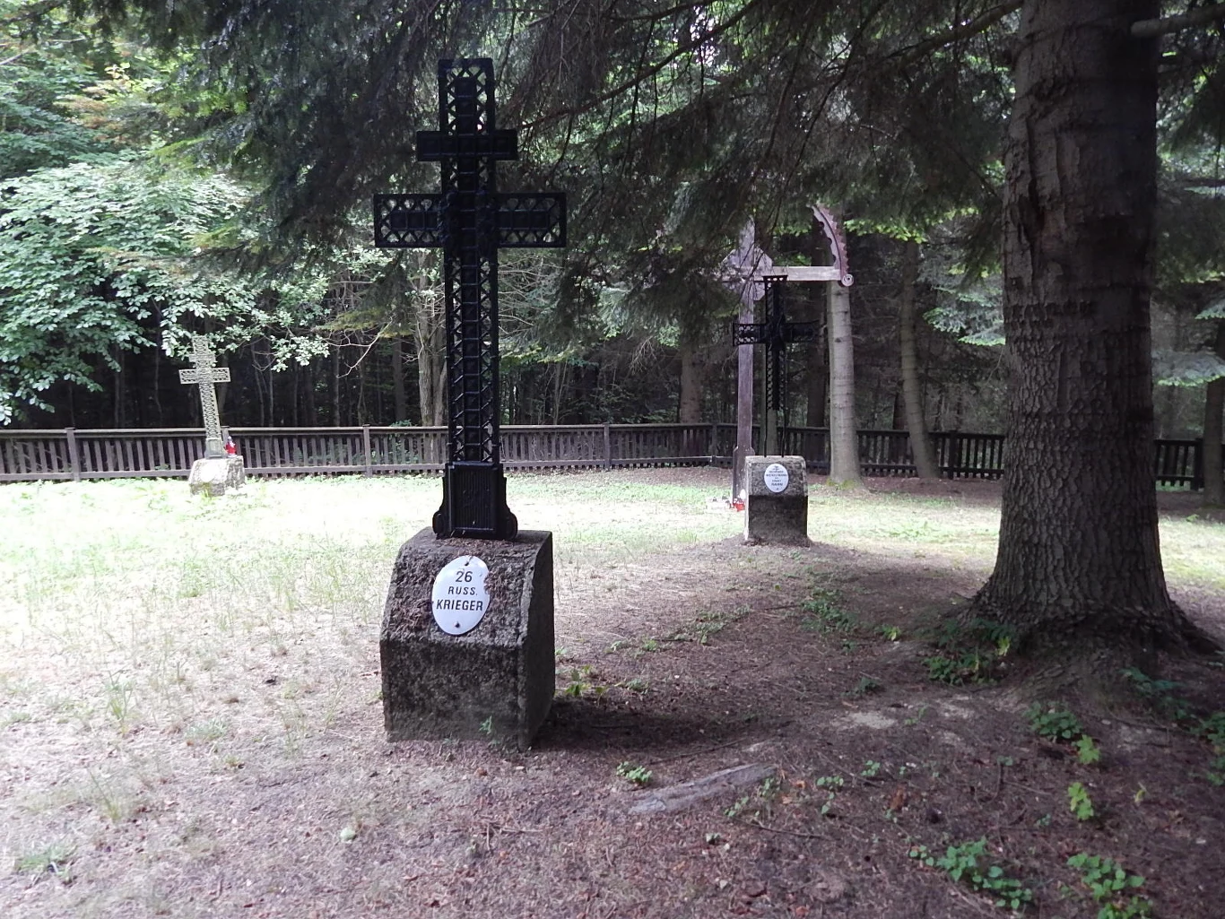 W czasie I wojny światowej największe walki były w naszym rejonie pod Gorlicami. Zdjęcia cmentarza wojennego Nr. 103 w Pagorzynie. Znajduje się on na szczycie góry, a drugi jest niżej o numerze 102. Ponieważ były to tereny kopalni ropy naftowej GWARECTWO od 1864 r., więc zlikwidowano ogromnej ilości krzyże po obu stronach góry, gdyż przeszkadzały, a zostawiono dwa cmentarze. W czasie walk życie straciło wiele tysięcy żołnierzy. 