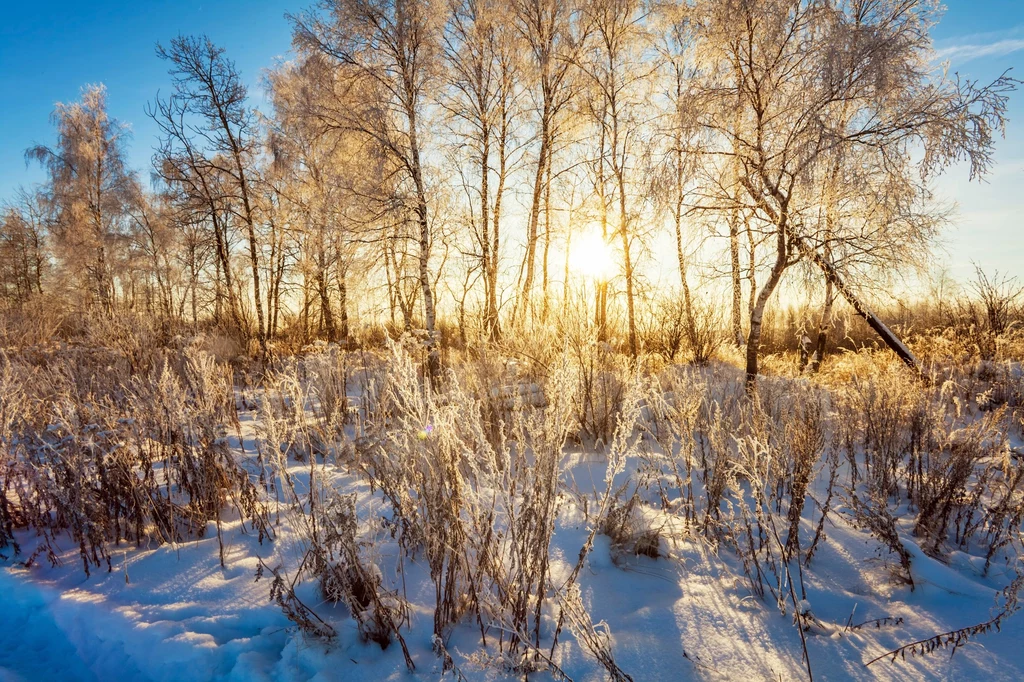 W weekend, szczególnie na południu Polski, może spaść śnieg