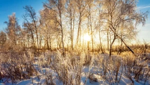 Uwaga na mroźne noce. Gdzie spadnie śnieg?