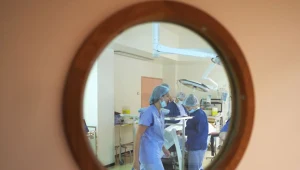 Czy nowotwory to wynik pecha? fot. Dominique Faget