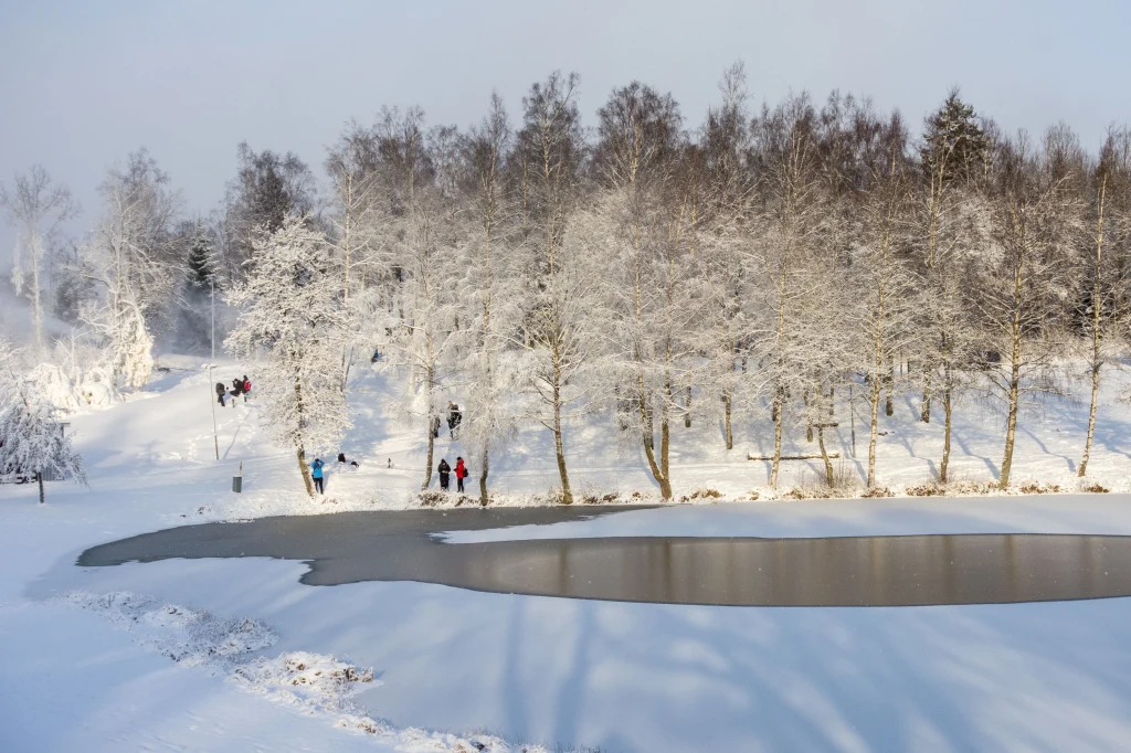 Zdj. ilustracyjne Zdj. ilustracyjne