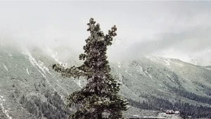 Morskie Oko