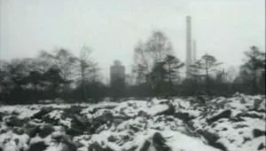 Kadr z filmu Polskiej Kroniki Filmowej z 1980 r. zatytułowanego "Alarm". Dokument pokazuje protest mieszkańców podskawińskiej wsi przeciwko trucicielskiej działalności huty aluminium