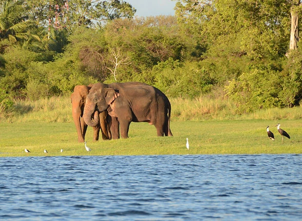 Sri Lanka