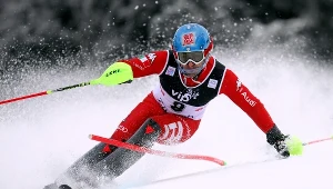 Stefano Gross