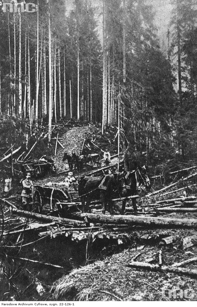 Niesłychanym na owe czasu wyczynem była budowa Drogi Legionów w Karpatach. Żołnierze II Brygady w pięć dni wytyczyli drogę o długości 7 km, na której postawili 28 mostów. Most na przełęczy Pantyrowej, październik 1914