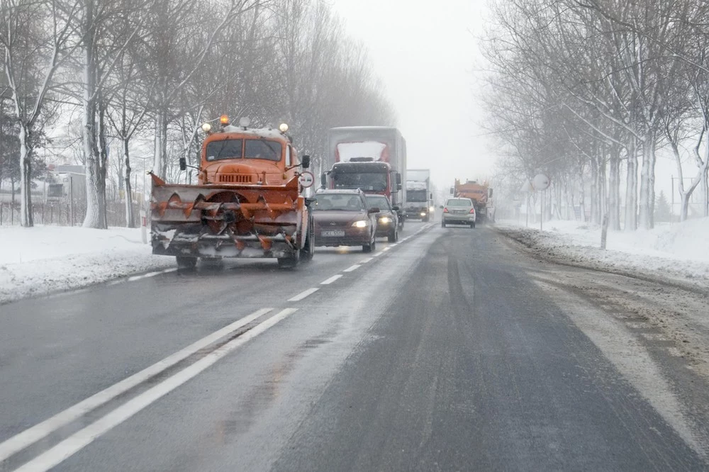 W tym roku zima jest łaskawa. Śniegu niemal nie ma, mrozu też