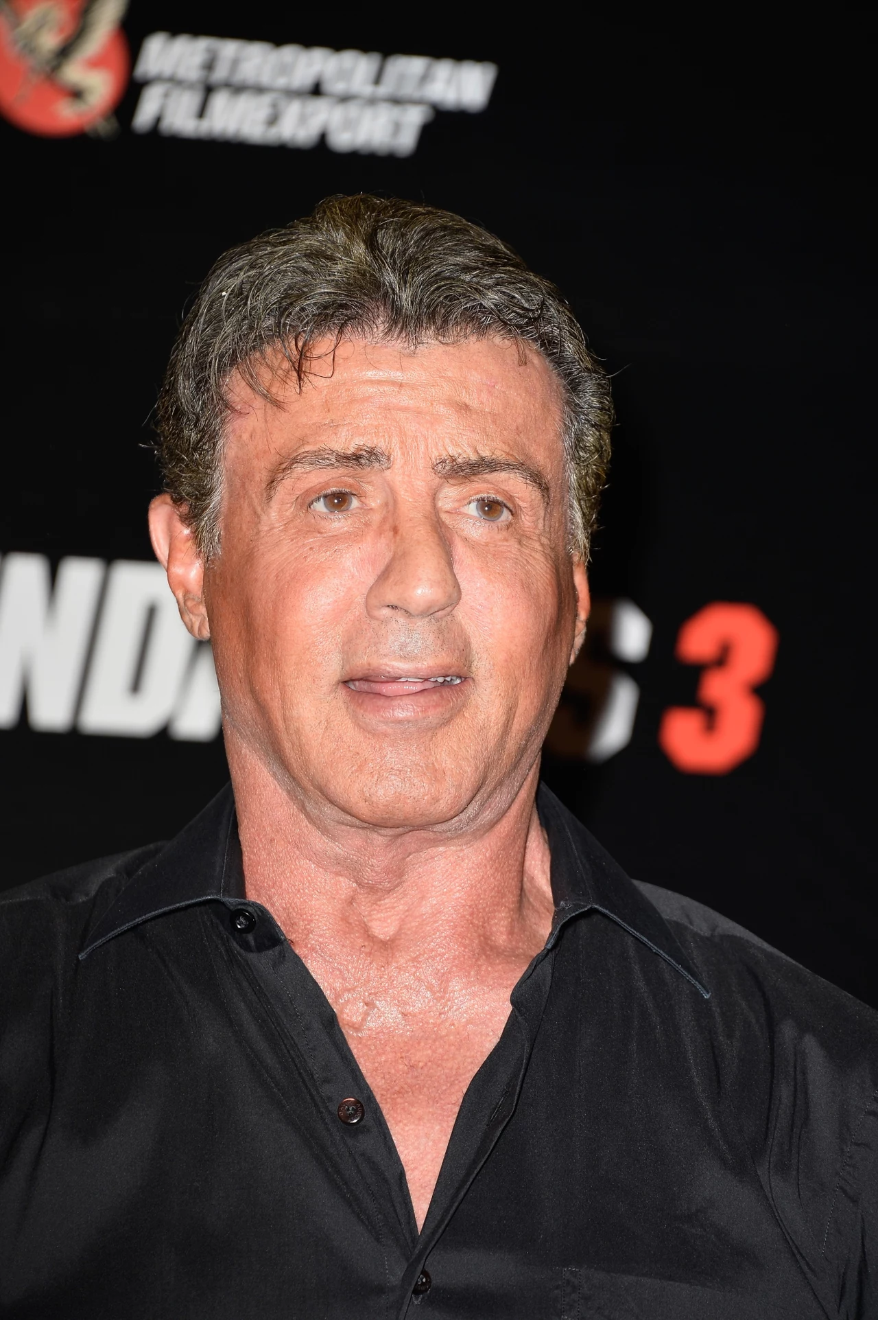 Sylvester Stallone Sylvester Stallone