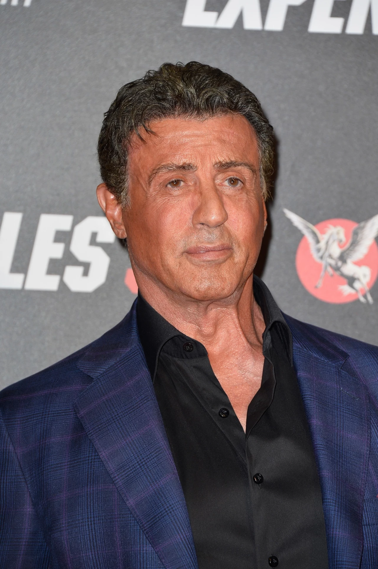 Sylvester Stallone Sylvester Stallone