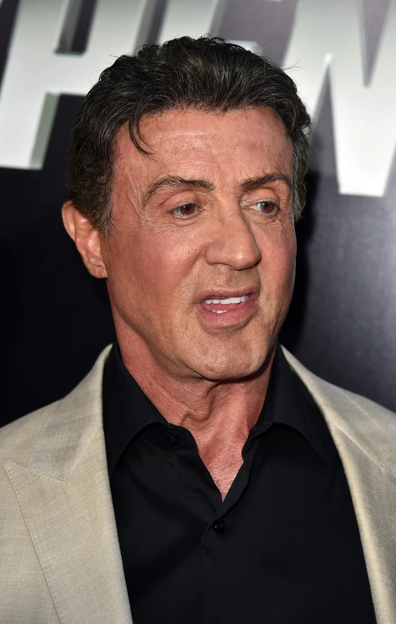Sylvester Stallone Sylvester Stallone