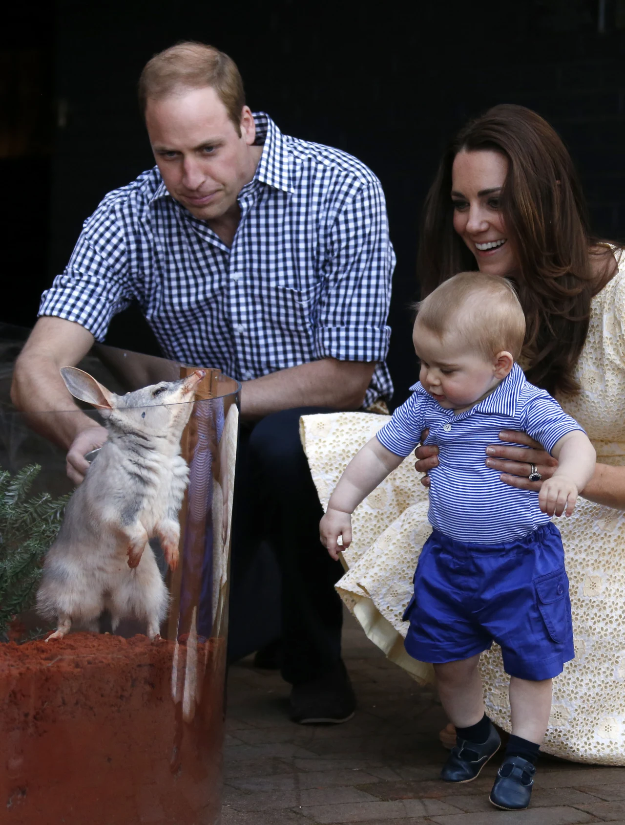 Kate i Willam z synkiem podczas ubiegłorocznego pobytu w Australii