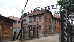 Zdjęcie ilustracyjne